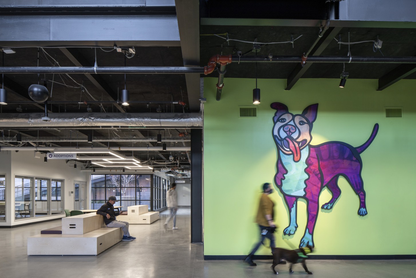 San Francisco Animal Care & Control Facility