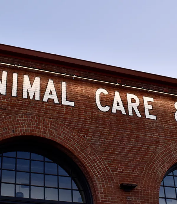 Clark Completes Historic Renovations for San Francisco's new Animal Care and Control Facility